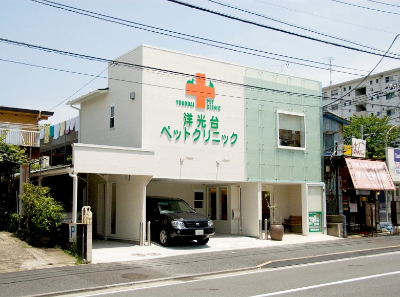洋光台ペットクリニック