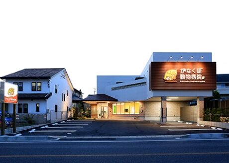 かなくぼ動物病院