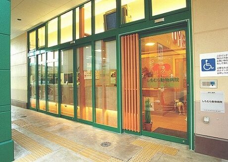 しもむら動物病院