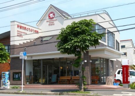 新習志野どうぶつ病院