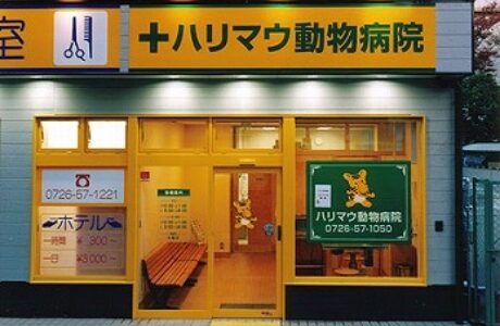 ハリマウ動物病院