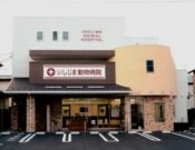 いしじま動物病院