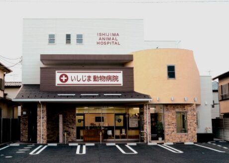 いしじま動物病院