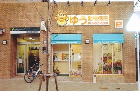 ゆう動物病院