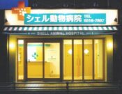 シェル動物病院