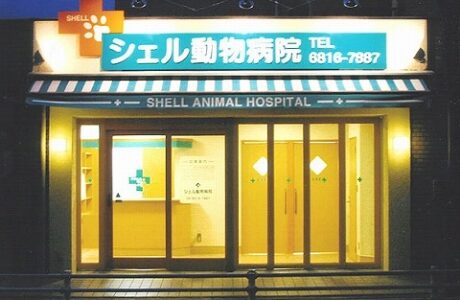 シェル動物病院