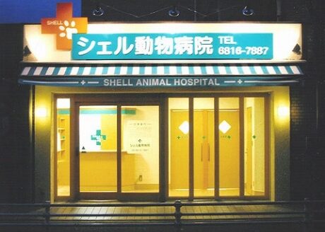 シェル動物病院