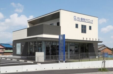 けい動物クリニック