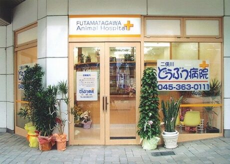 二俣川どうぶつ病院