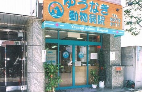ゆうなぎ動物病院