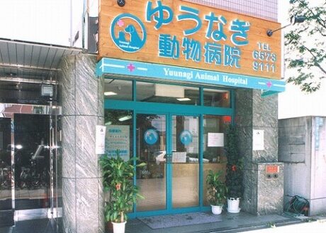 ゆうなぎ動物病院