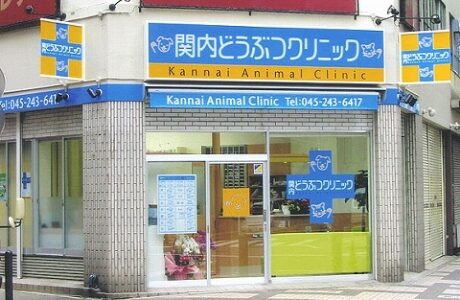 関内どうぶつクリニック