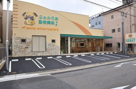 ふぁみりあ動物病院