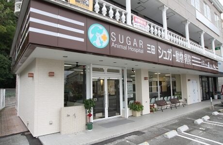 三田シュガー動物病院