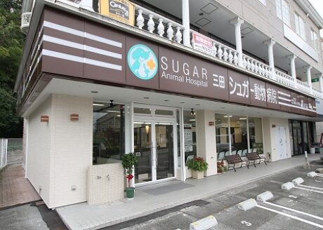 三田シュガー動物病院