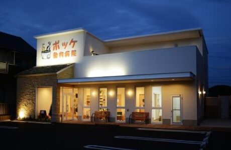 ポッケ動物病院