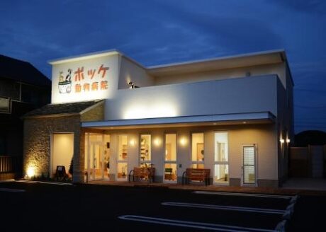 ポッケ動物病院