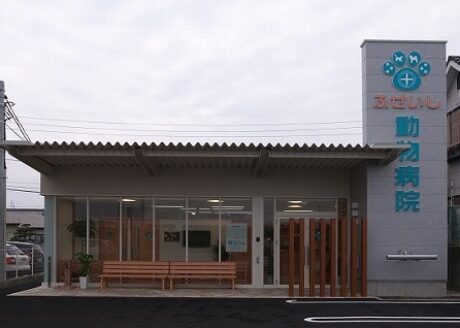 ふせいし動物病院