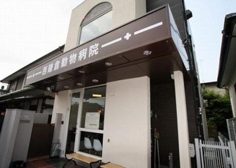 西鎌倉動物病院