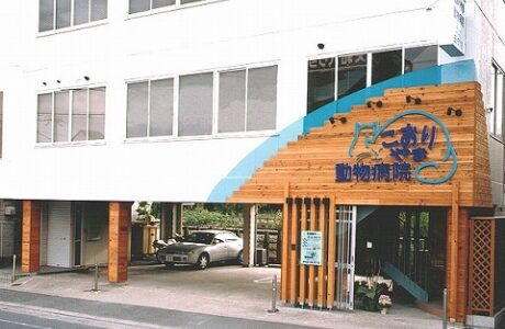 こおりやま動物病院