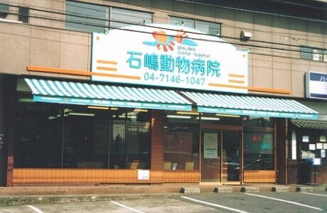 石嶋動物病院