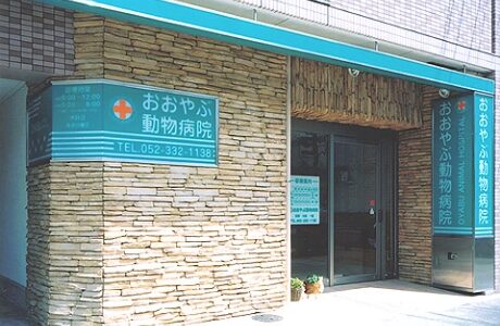 おおやぶ動物病院