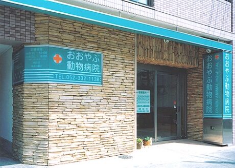 おおやぶ動物病院
