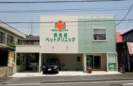 洋光台ペットクリニック