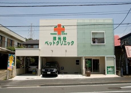 洋光台ペットクリニック