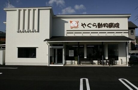 やぐら動物病院