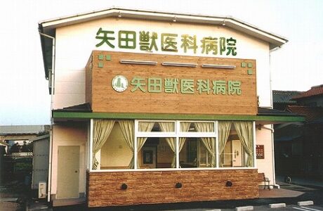 矢田獣医科病院