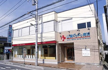 山崎どうぶつ病院