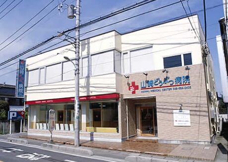 山崎どうぶつ病院