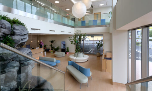 ファミリー総合動物病院　内装2