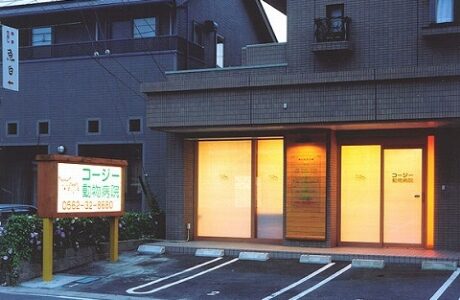 コージー動物病院