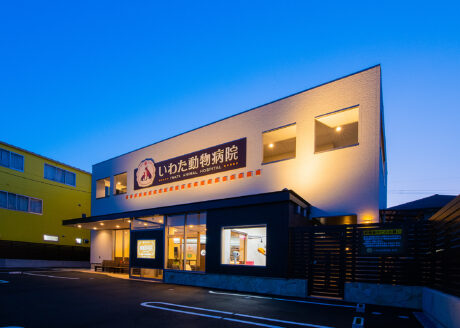 いわた動物病院
