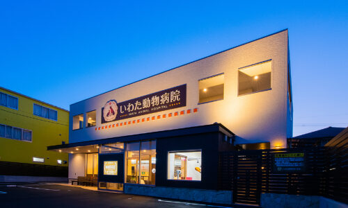 いわた動物病院