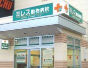 ミレス動物病院