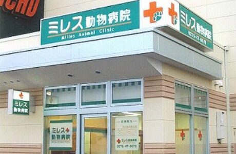 ミレス動物病院
