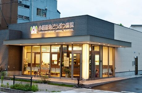 小幡緑地どうぶつ病院
