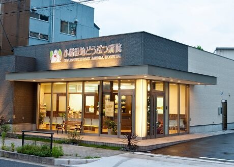 小幡緑地どうぶつ病院