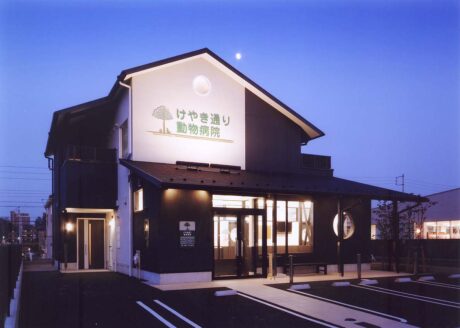 けやき通り動物病院