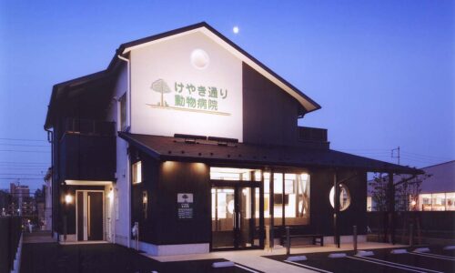 けやき通り動物病院