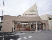 はるかぜ動物病院