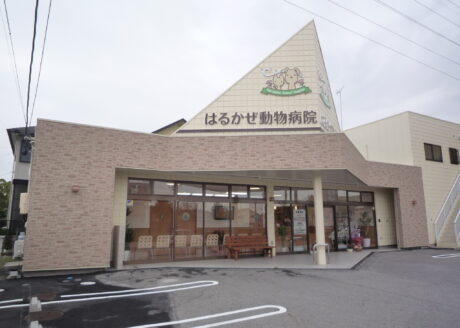 はるかぜ動物病院