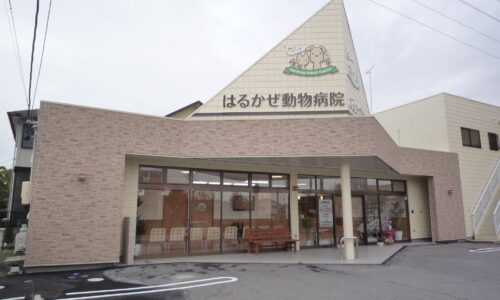 はるかぜ動物病院