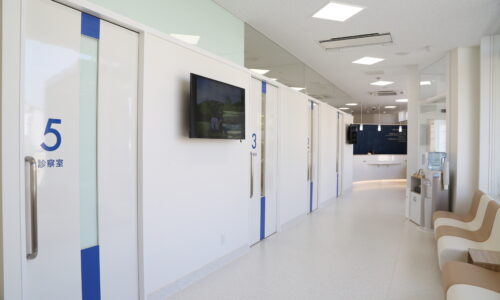 南東京動物医療センター　内装2