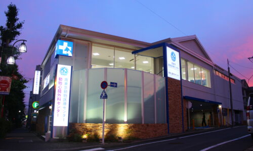 南東京動物医療センター　外観2