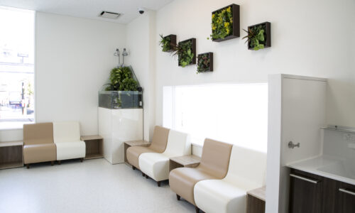 南東京動物医療センター　内装1