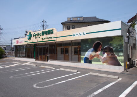 あにふぁ動物病院